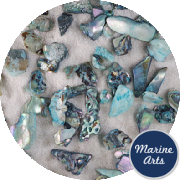 8396-P8 - Craft Pack - Tumbled Abalone - Turquoise